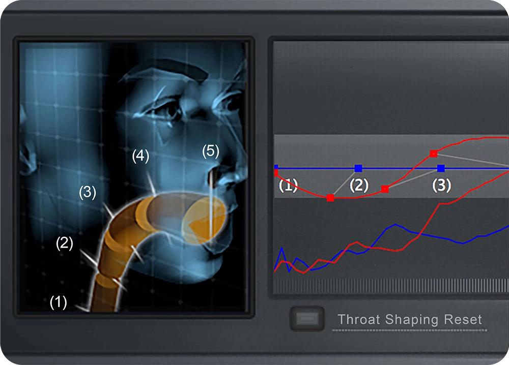 Throat